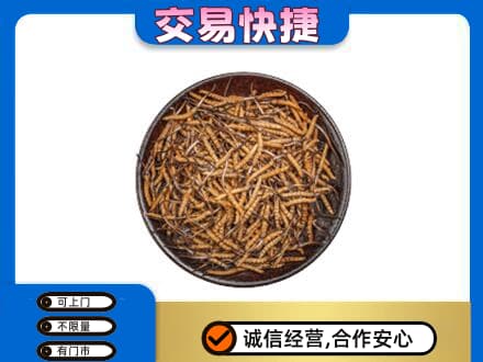 天津武清区回收散虫草